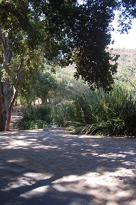 DSC 0288