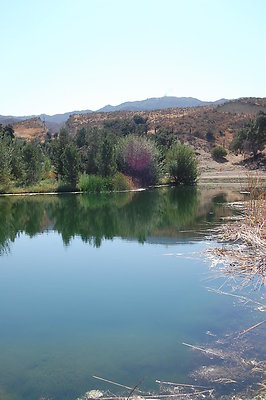 DSC 0108