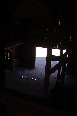 DSC 0101