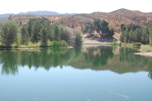 DSC 0113