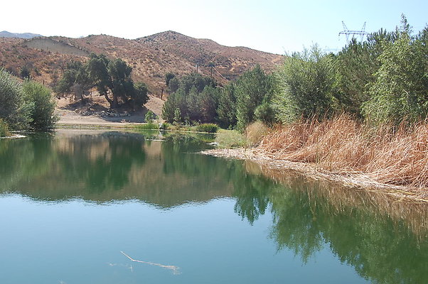 DSC 0114