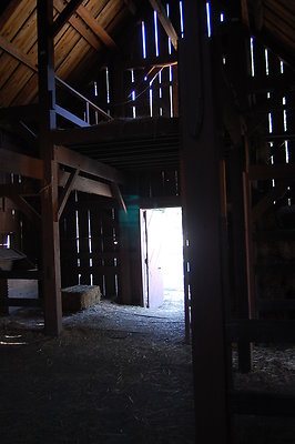 DSC 0319