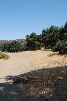 DSC 0308
