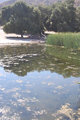 DSC 0203