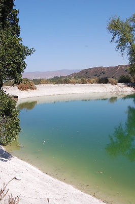 DSC 0239