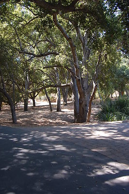DSC 0287
