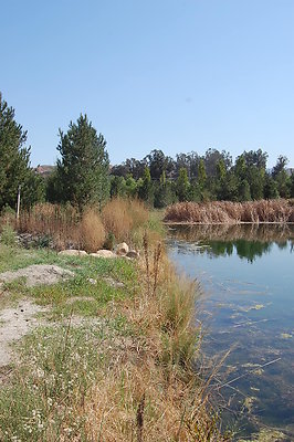 DSC 0105