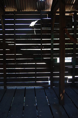 DSC 0212