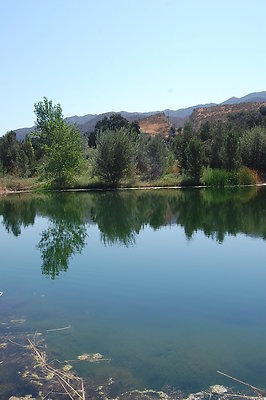 DSC 0107
