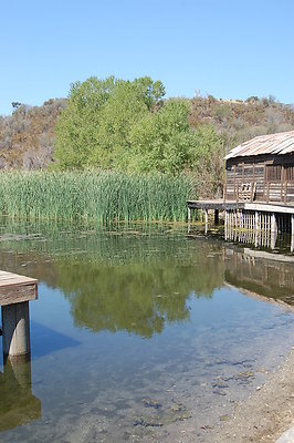 DSC 0196