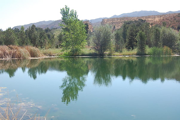 DSC 0112