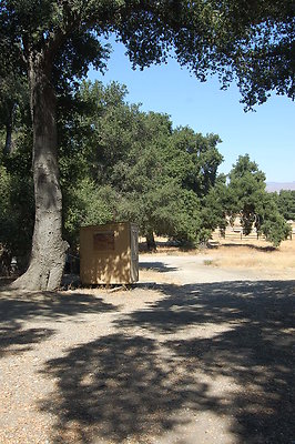 DSC 0304