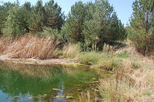 DSC 0116