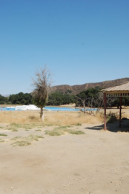 DSC 0317