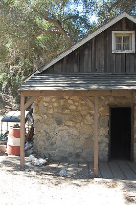 DSC 0300