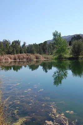 DSC 0106
