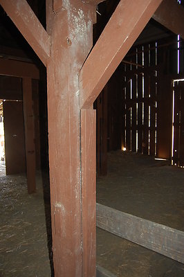 DSC 0339